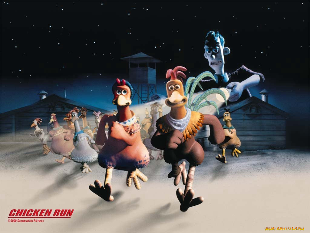 , chicken, run